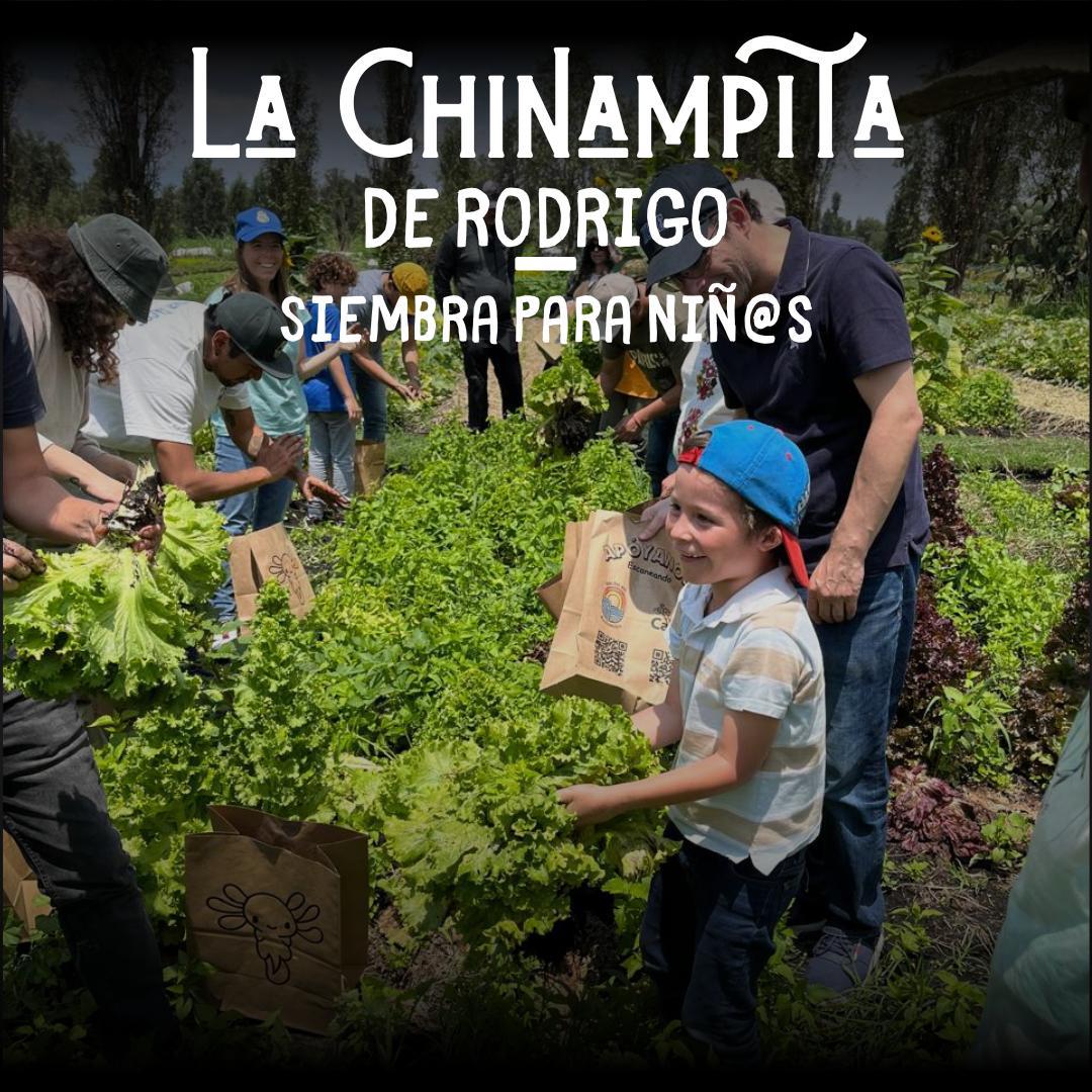 Chinampita de Rodrigo