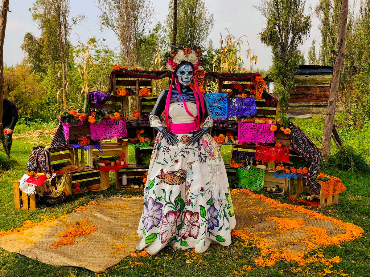 Especial Día de Muertos (1 de Noviembre)